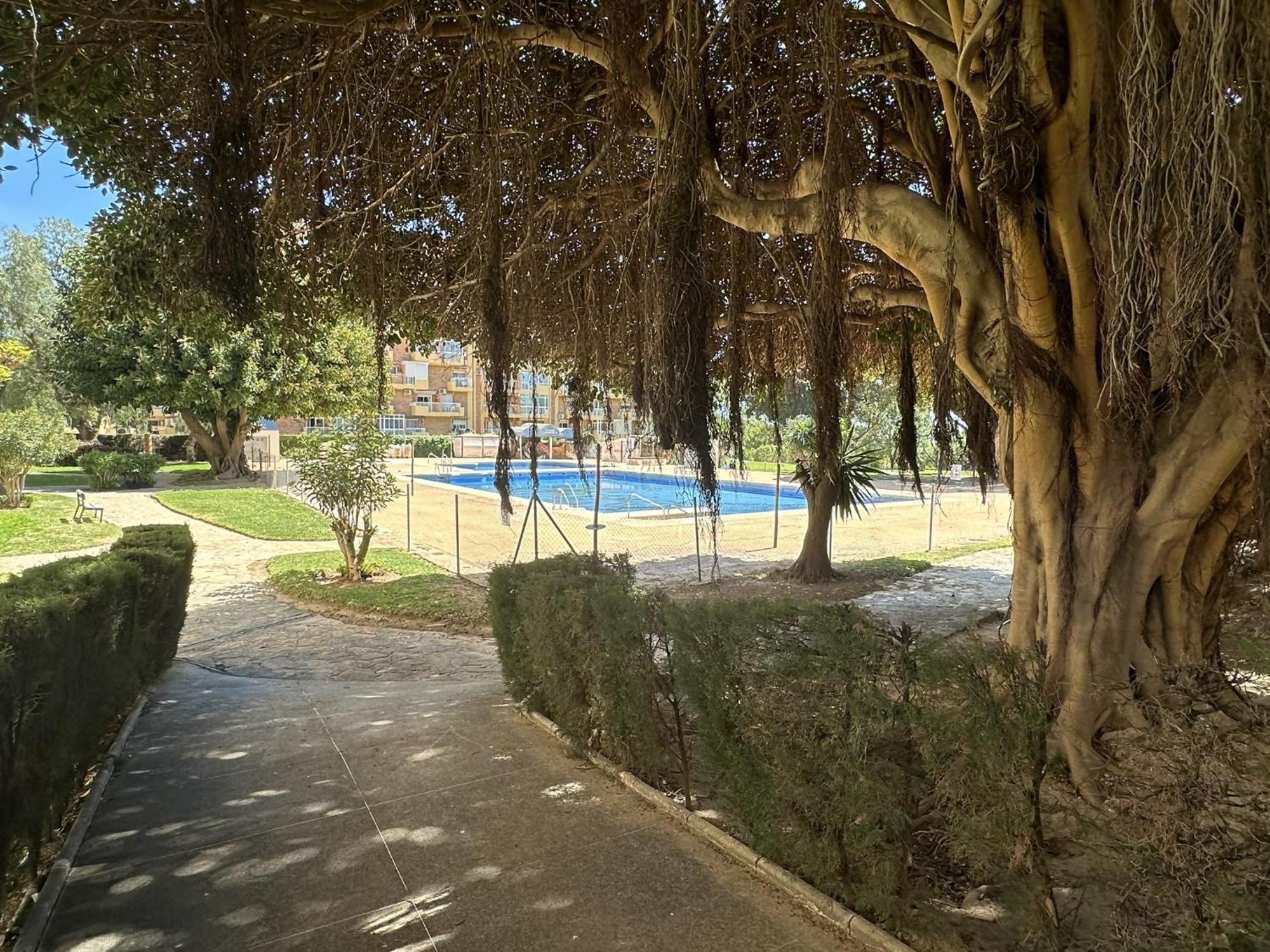 Estudio Agata Con Piscina A 800M De La Playa Benalmadena Bagian luar foto