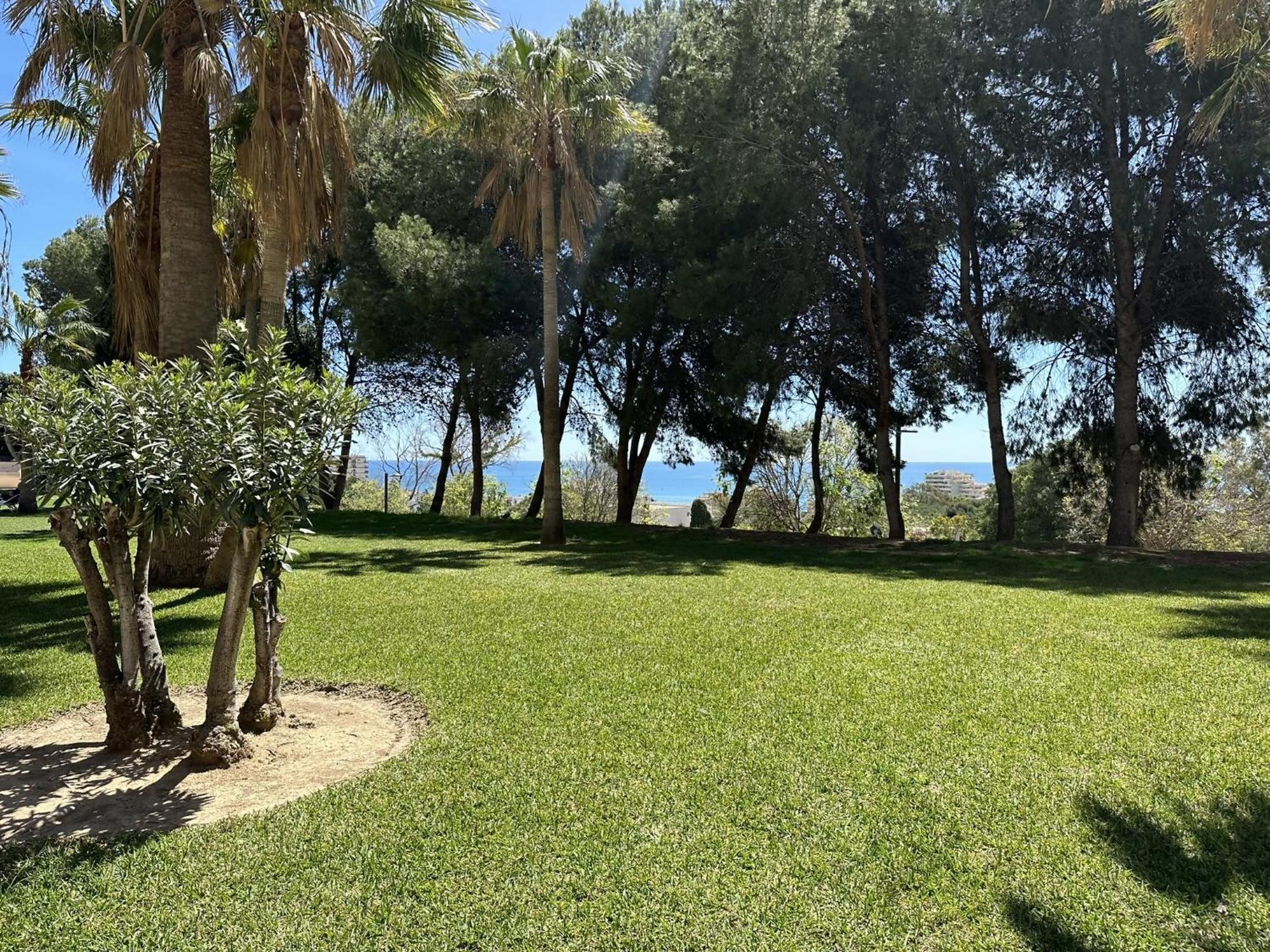 Estudio Agata Con Piscina A 800M De La Playa Benalmadena Bagian luar foto